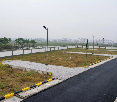 plot view 5
